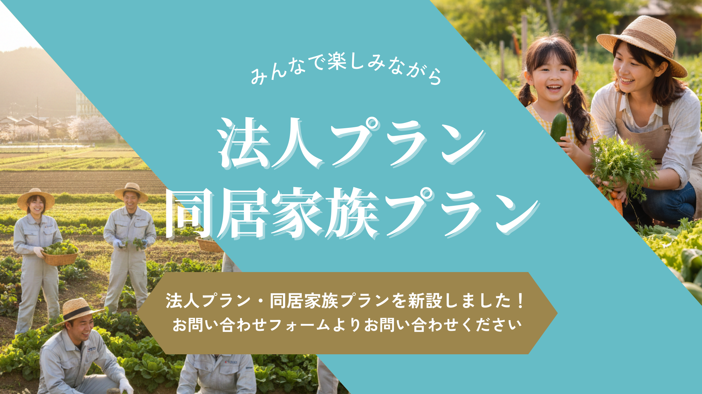 corporate and family plan banner