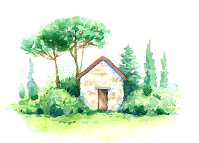 １日体験プラン